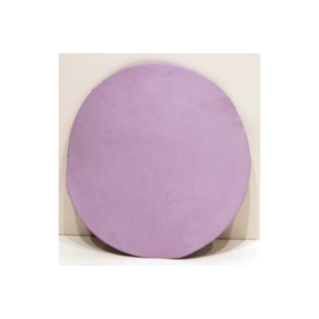 Rbl Products Clay Detail Disc Fine Cut 12019